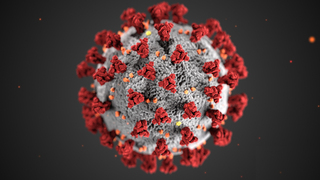 SSAGO Coronavirus Update